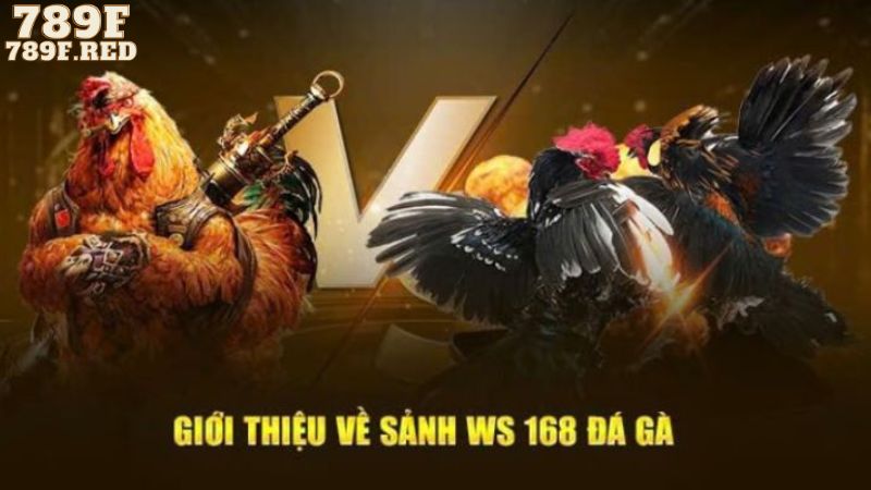 Giới thiệu về sảnh ws168 